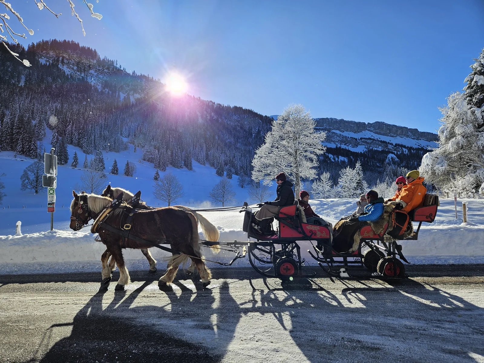Pferdeschlittenfahrt im sonnigen Winter in Oberstdorf
