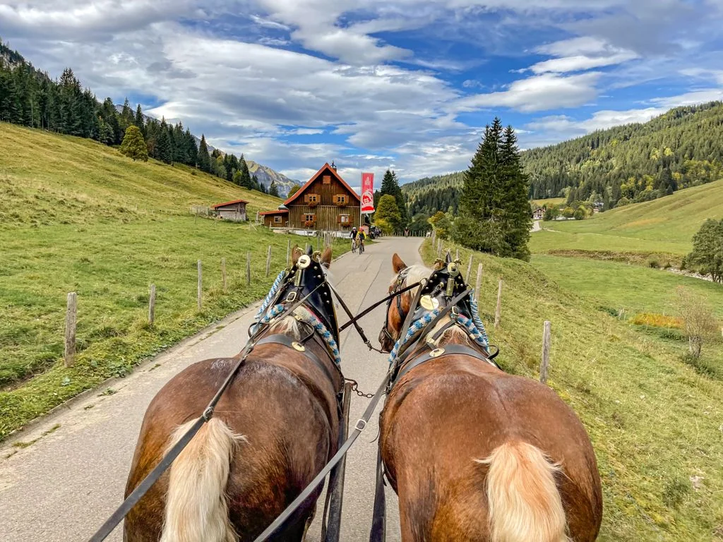 Kutschfahrt im Rohrmoos