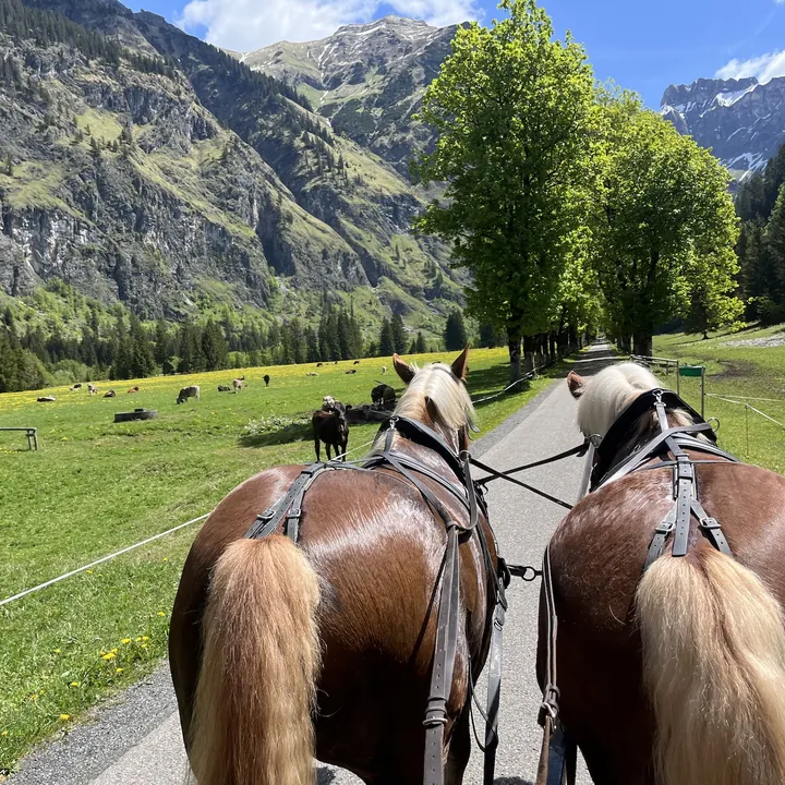 Kutschfahrt im grünen Oytal