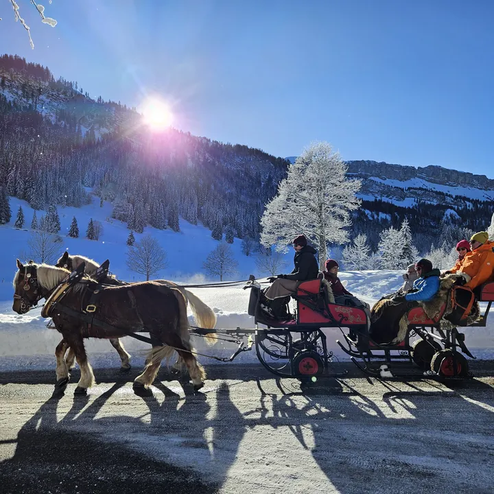 Pferdeschlittenfahrt im winterlichen Oberstdorf