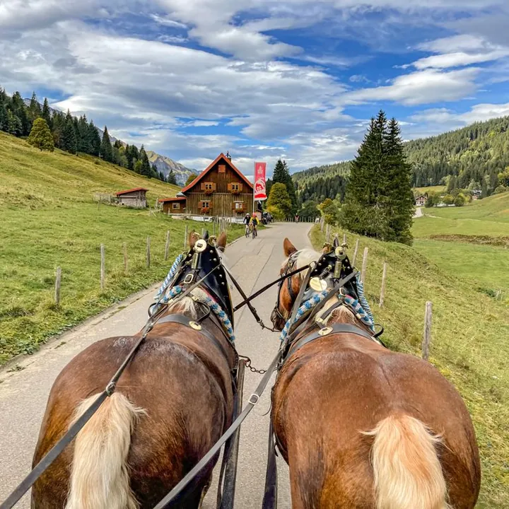 Kutschfahrt durch das sommerliche Rohrmoos
